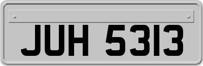 JUH5313