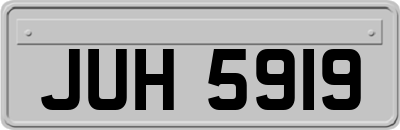 JUH5919