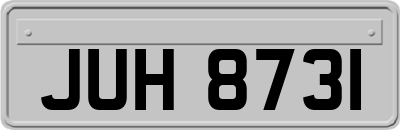 JUH8731