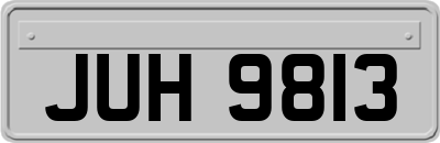 JUH9813
