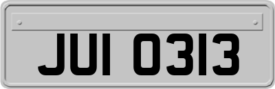 JUI0313