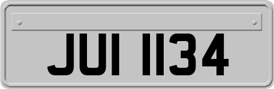 JUI1134