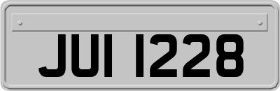 JUI1228