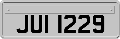 JUI1229