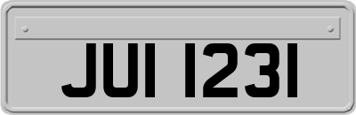 JUI1231