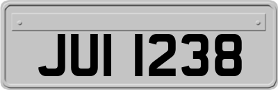 JUI1238