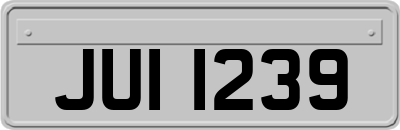 JUI1239
