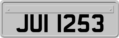 JUI1253