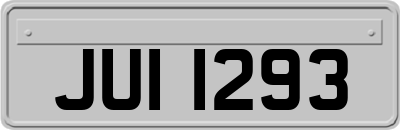 JUI1293