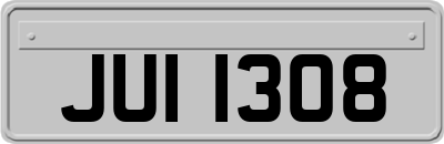 JUI1308