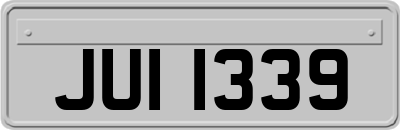JUI1339