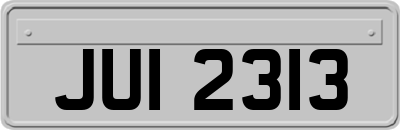 JUI2313