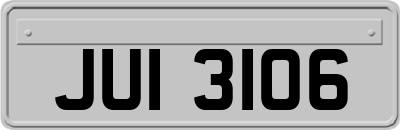 JUI3106