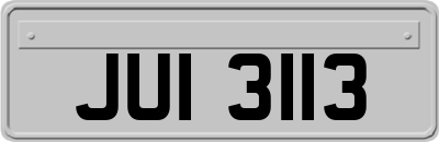 JUI3113