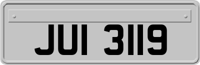 JUI3119