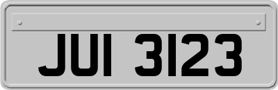 JUI3123