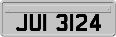 JUI3124