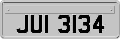 JUI3134