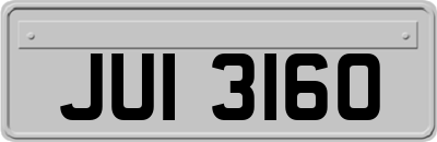 JUI3160