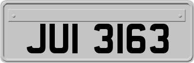 JUI3163