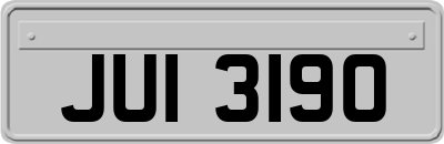 JUI3190