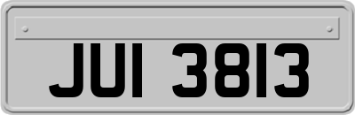 JUI3813