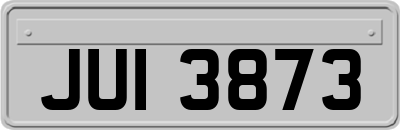 JUI3873