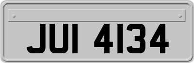 JUI4134
