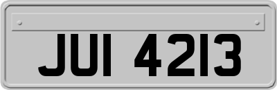 JUI4213
