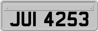 JUI4253
