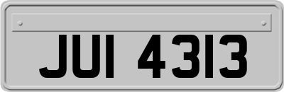 JUI4313