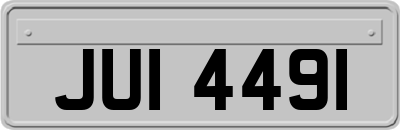 JUI4491