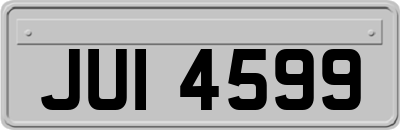 JUI4599