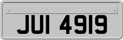JUI4919