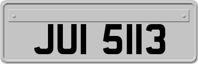 JUI5113