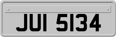 JUI5134