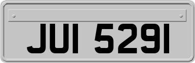 JUI5291