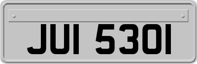 JUI5301