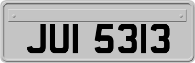 JUI5313