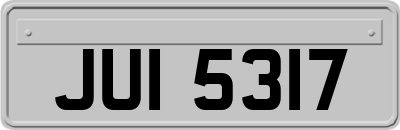 JUI5317