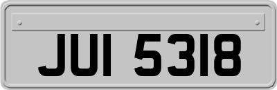 JUI5318