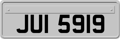 JUI5919