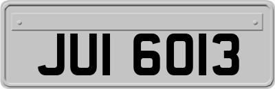 JUI6013