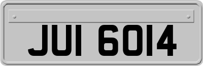 JUI6014