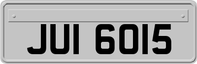 JUI6015