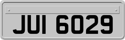 JUI6029