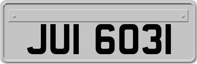 JUI6031