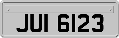 JUI6123