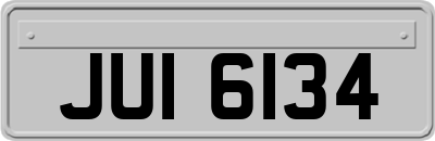 JUI6134