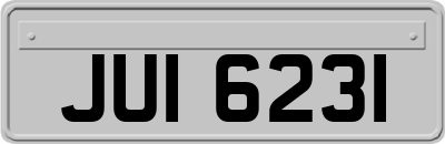 JUI6231